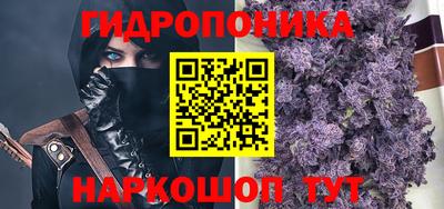 гидропоника Кунгур