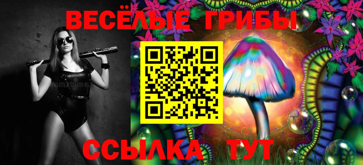 Галлюциногенные грибы Psilocybe  Вход с VPN  Касимов 